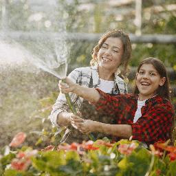 Arrosage du jardin grâce à la récupération d'eau de pluie 